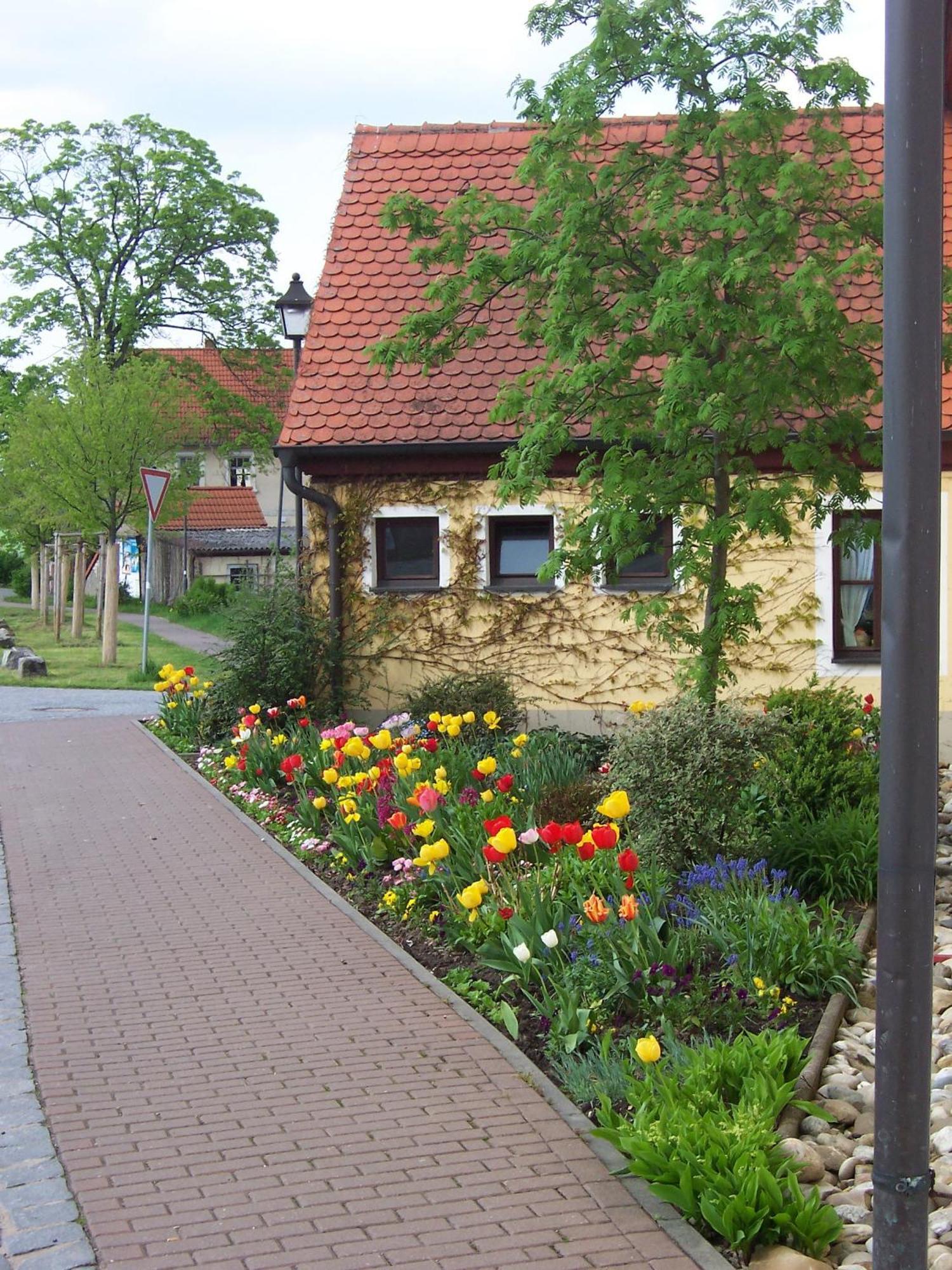 Gasthof Weichlein Hotel Wachenroth Exterior photo